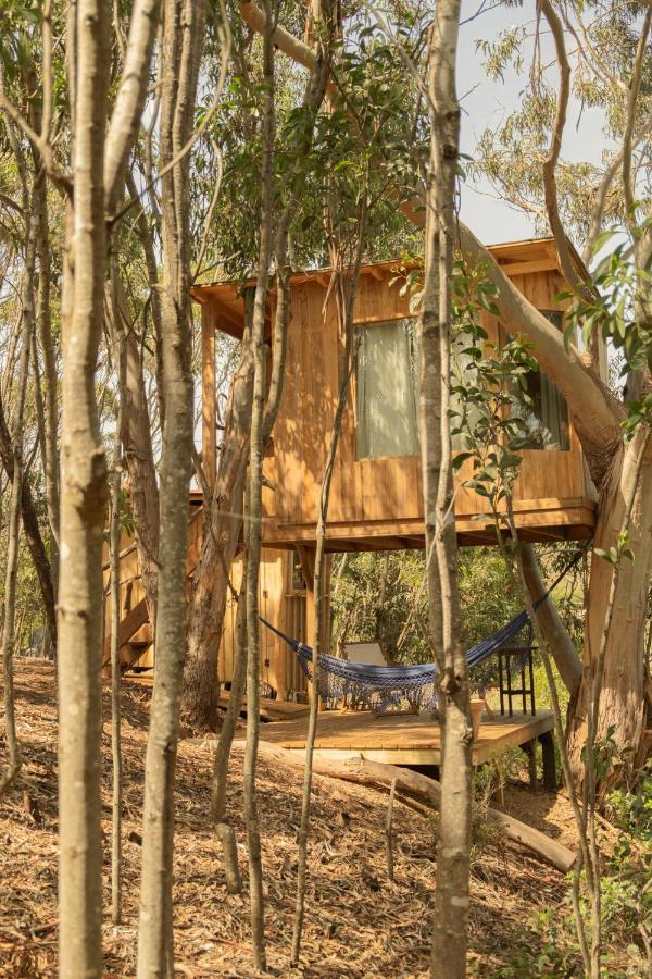 Soul Farm Algarve - Glamping & Farm Houses Aljezur Dış mekan fotoğraf