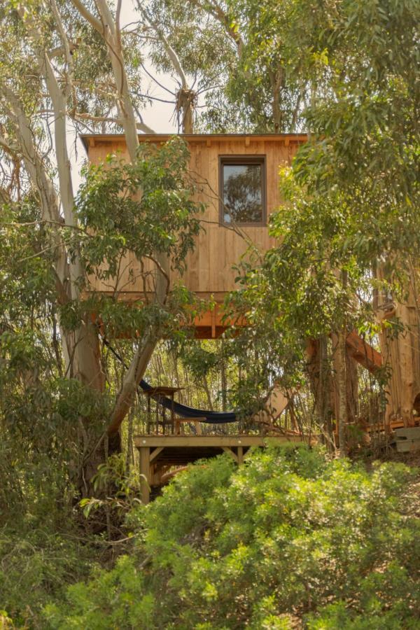 Soul Farm Algarve - Glamping & Farm Houses Aljezur Dış mekan fotoğraf