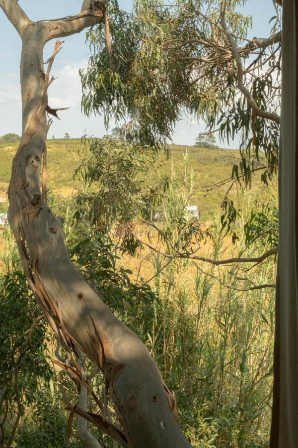 Soul Farm Algarve - Glamping & Farm Houses Aljezur Dış mekan fotoğraf
