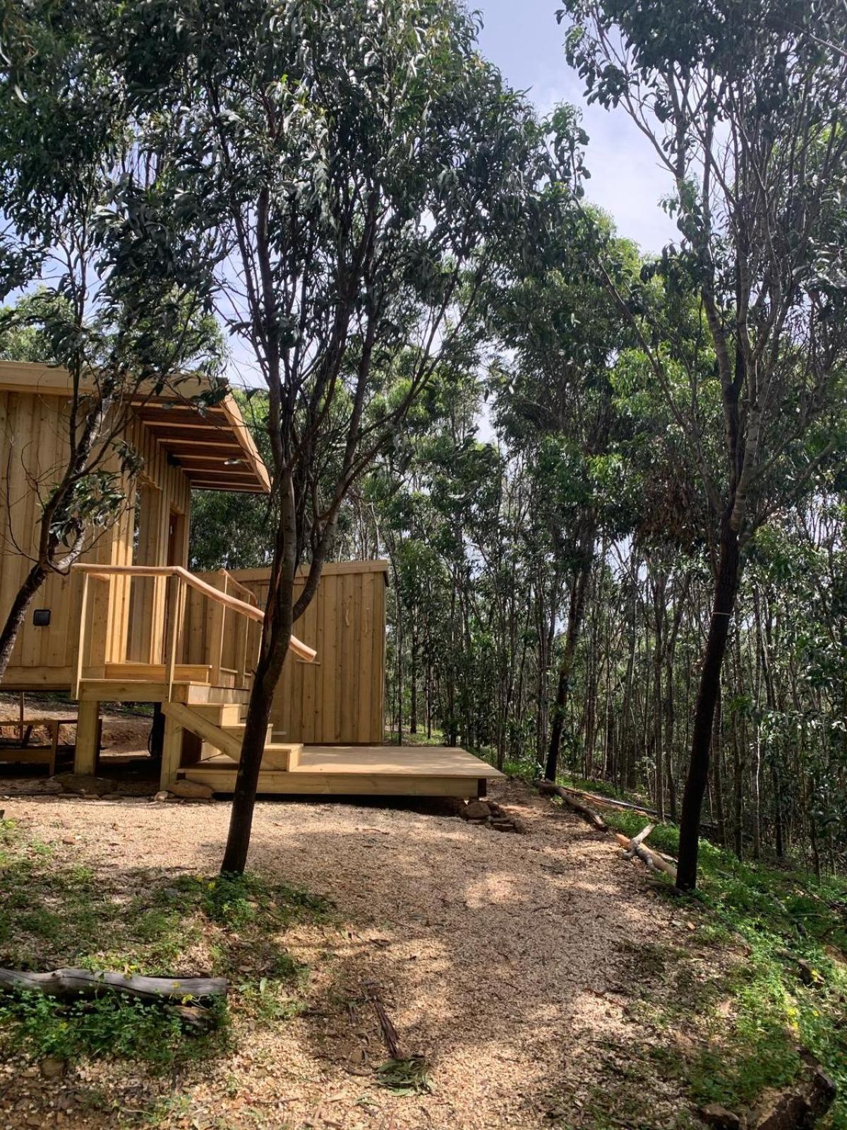 Soul Farm Algarve - Glamping & Farm Houses Aljezur Dış mekan fotoğraf