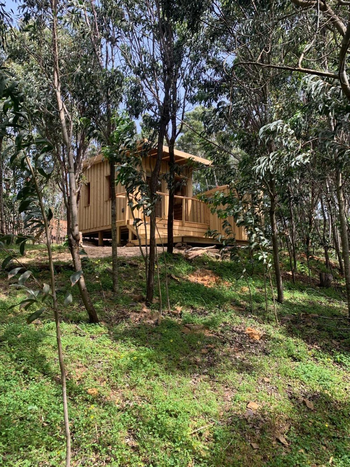 Soul Farm Algarve - Glamping & Farm Houses Aljezur Dış mekan fotoğraf